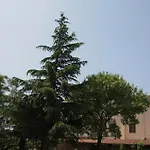 Ristorante La Mimosa