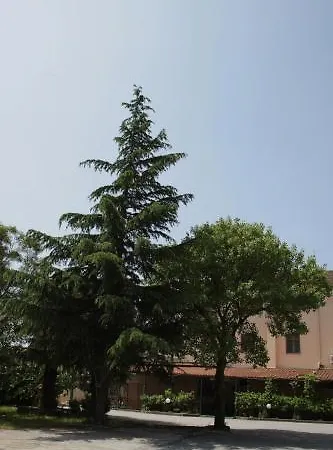 Ristorante La Mimosa