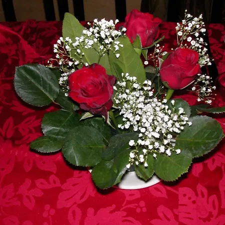 Ristorante La Mimosa