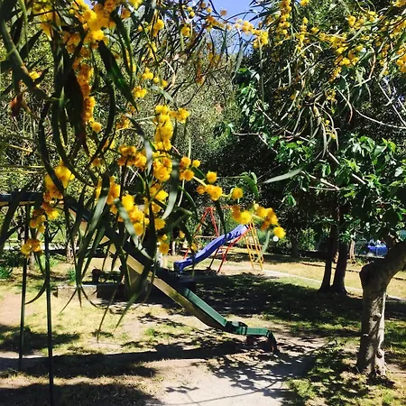 Ristorante La Mimosa Hotel