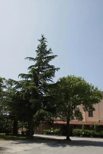 Ristorante La Mimosa