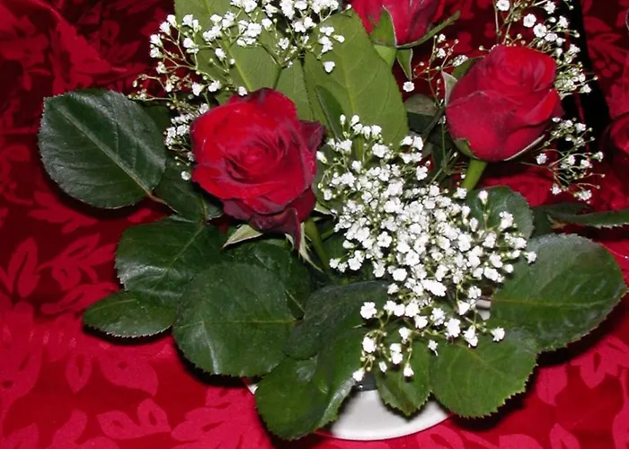 Ristorante La Mimosa