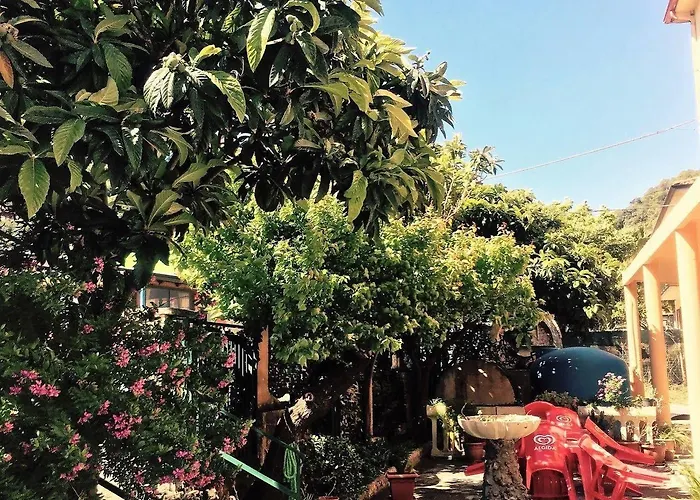 Hotel Ristorante La Mimosa Lamezia Terme